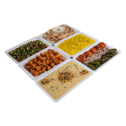 CHICKEN KEBAB TASTING